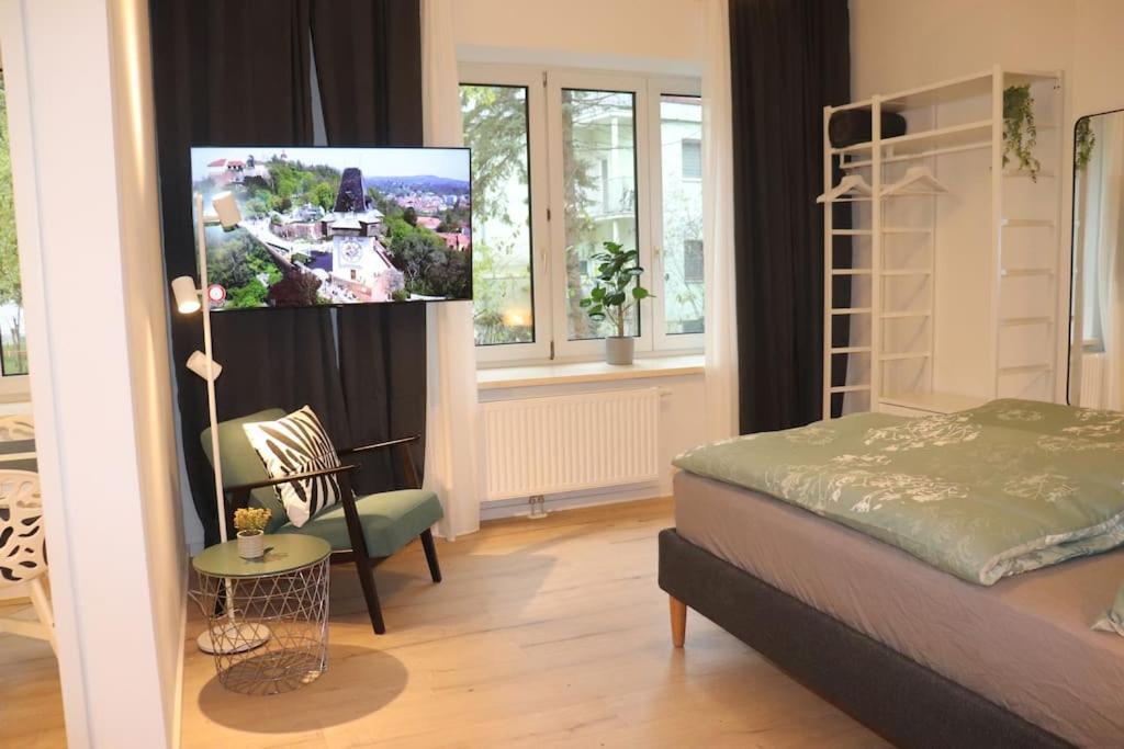 City Apartment Rudolf 26M2 غراتس المظهر الخارجي الصورة
